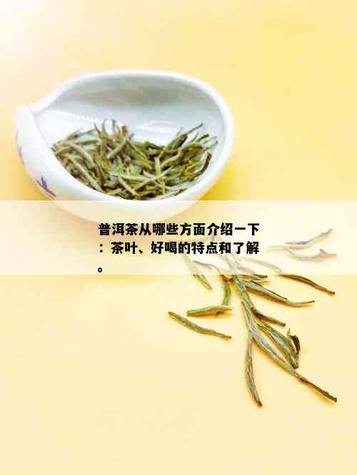 普洱茶从哪些方面介绍一下：茶叶、好喝的特点和了解。