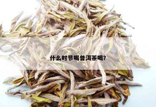 什么时节喝普洱茶喝？