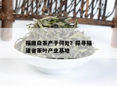 福鼎白茶产于何处？探寻福建省茶叶产业基地