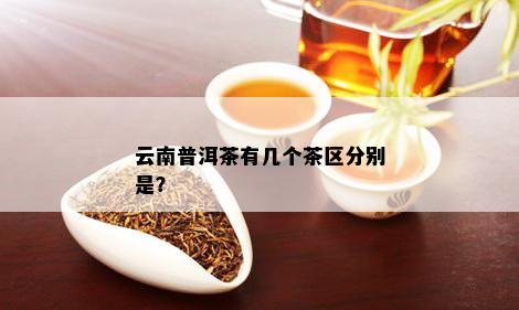 云南普洱茶有几个茶区分别是？