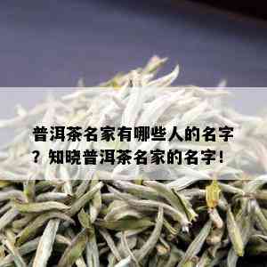 普洱茶名家有哪些人的名字？知晓普洱茶名家的名字！