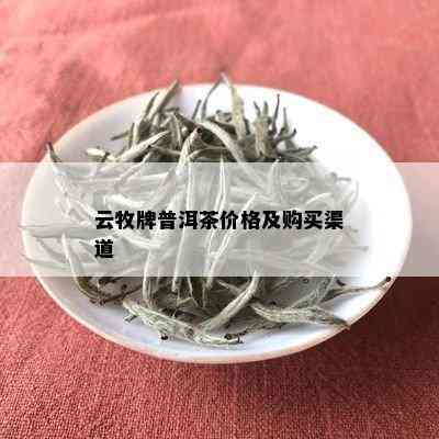 云牧牌普洱茶价格及购买渠道