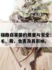 福鼎白茶菌的质量与安全：毛、霉、虫害及其影响。