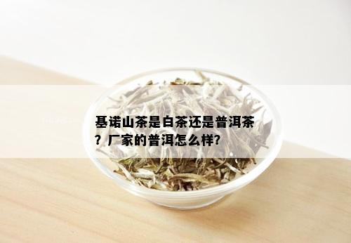 基诺山茶是白茶还是普洱茶？厂家的普洱怎么样？