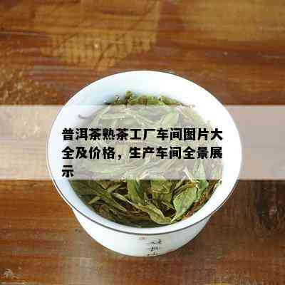 普洱茶熟茶工厂车间图片大全及价格，生产车间全景展示