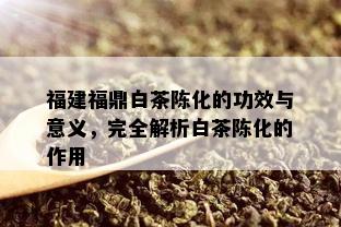 福建福鼎白茶陈化的功效与意义，完全解析白茶陈化的作用