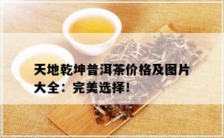 天地乾坤普洱茶价格及图片大全：完美选择！