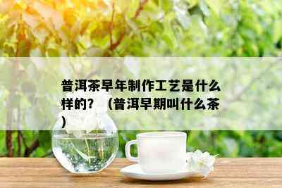 普洱茶早年制作工艺是什么样的？（普洱早期叫什么茶）