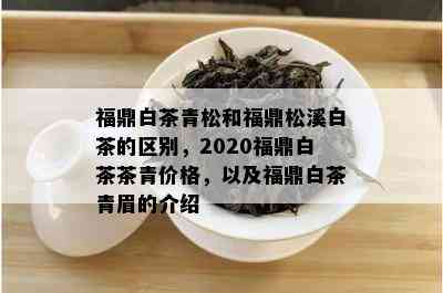 福鼎白茶青松和福鼎松溪白茶的区别，2020福鼎白茶茶青价格，以及福鼎白茶青眉的介绍