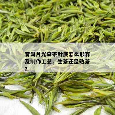 普洱月光白茶叶底怎么形容及制作工艺，生茶还是熟茶？