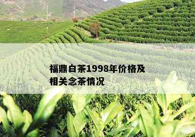 福鼎白茶1998年价格及相关念茶情况