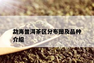 勐海普洱茶区分布图及品种介绍