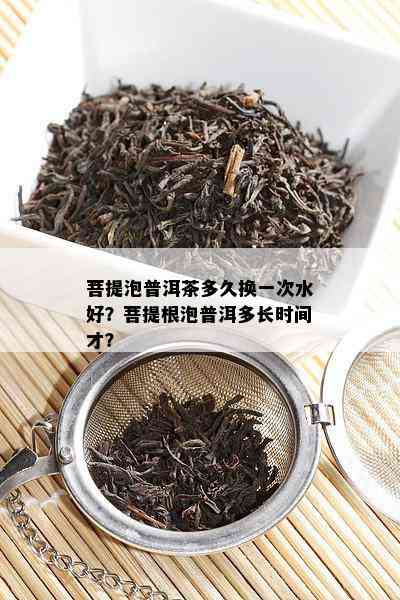 菩提泡普洱茶多久换一次水好？菩提根泡普洱多长时间才？