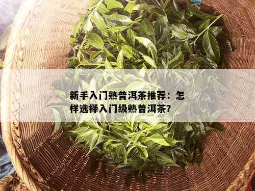 新手入门熟普洱茶推荐：怎样选择入门级熟普洱茶？