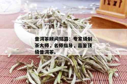 普洱茶顾问铭潞：专家级制茶大师，名师指导，品鉴顶级普洱茶。