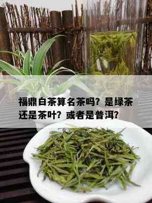 福鼎白茶算名茶吗？是绿茶还是茶叶？或者是普洱？