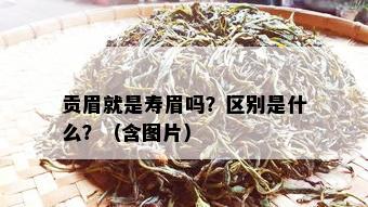 贡眉就是寿眉吗？区别是什么？（含图片）