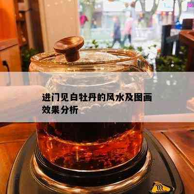 进门见白牡丹的风水及图画效果分析