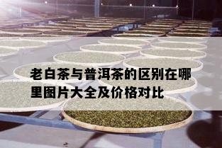 老白茶与普洱茶的区别在哪里图片大全及价格对比