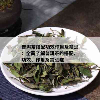 普洱茶搭配功效作用及禁忌：全面了解普洱茶的搭配、功效、作用及禁忌症