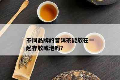 不同品牌的普洱茶能放在一起存放或泡吗？