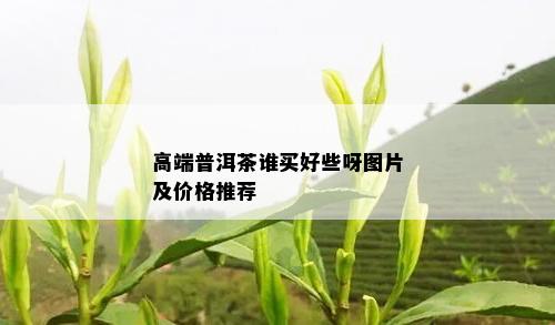 高端普洱茶谁买好些呀图片及价格推荐