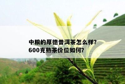 中粮的厚德普洱茶怎么样？600克熟茶价位如何？