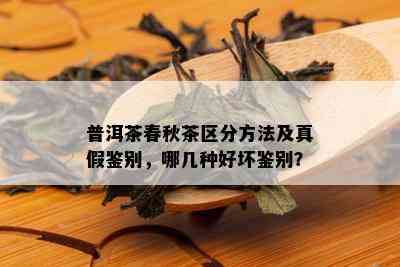 普洱茶春秋茶区分方法及真假鉴别，哪几种好坏鉴别？