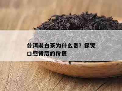 普洱老白茶为什么贵？探究口感背后的价值