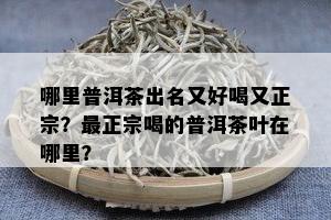 哪里普洱茶出名又好喝又正宗？最正宗喝的普洱茶叶在哪里？