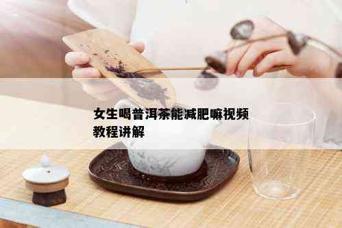 女生喝普洱茶能减肥嘛视频教程讲解