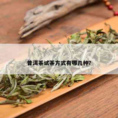 普洱茶试茶方式有哪几种？