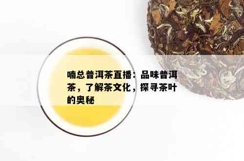 喃总普洱茶直播：品味普洱茶，了解茶文化，探寻茶叶的奥秘