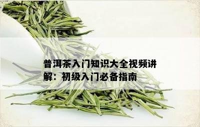 普洱茶入门知识大全视频讲解：初级入门必备指南