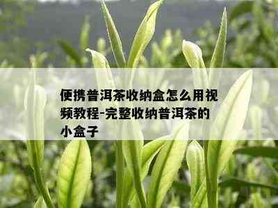 便携普洱茶收纳盒怎么用视频教程-完整收纳普洱茶的小盒子