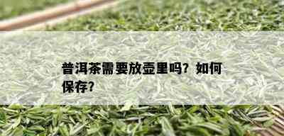 普洱茶需要放壶里吗？如何保存？