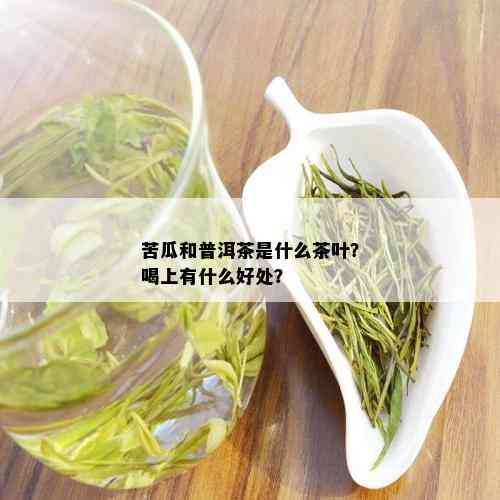 苦瓜和普洱茶是什么茶叶？喝上有什么好处？