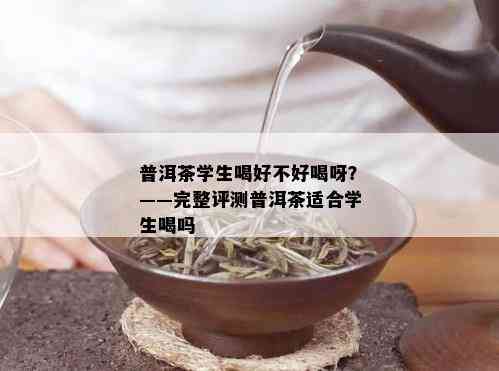 普洱茶学生喝好不好喝呀？——完整评测普洱茶适合学生喝吗