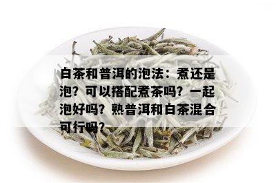 白茶和普洱的泡法：煮还是泡？可以搭配煮茶吗？一起泡好吗？熟普洱和白茶混合可行吗？