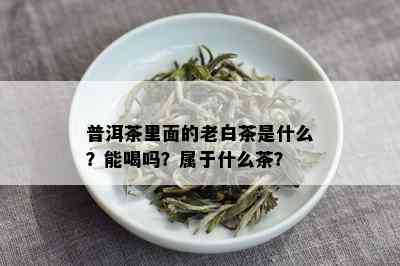 普洱茶里面的老白茶是什么？能喝吗？属于什么茶？