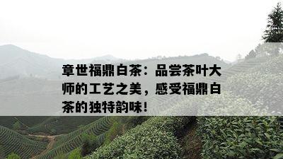 章世福鼎白茶：品尝茶叶大师的工艺之美，感受福鼎白茶的独特韵味！