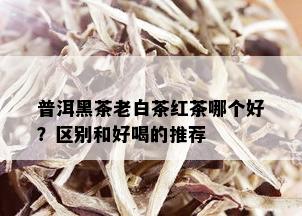 普洱黑茶老白茶红茶哪个好？区别和好喝的推荐