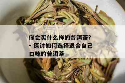 你会买什么样的普洱茶？ - 探讨如何选择适合自己口味的普洱茶