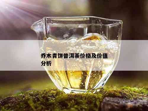 乔木青饼普洱茶价格及价值分析