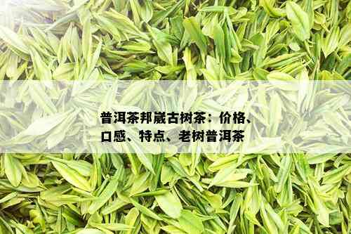 普洱茶邦崴古树茶：价格、口感、特点、老树普洱茶