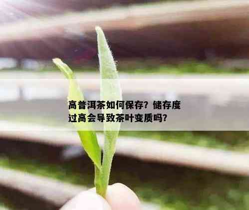 高普洱茶如何保存？储存度过高会导致茶叶变质吗？