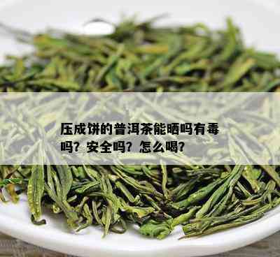 压成饼的普洱茶能晒吗有吗？安全吗？怎么喝？