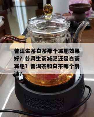 普洱生茶白茶那个减肥效果好？普洱生茶减肥还是白茶减肥？普洱茶和白茶哪个刮油？