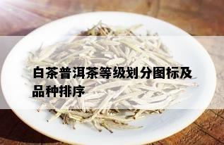 白茶普洱茶等级划分图标及品种排序