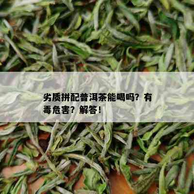 劣质拼配普洱茶能喝吗？有危害？解答！